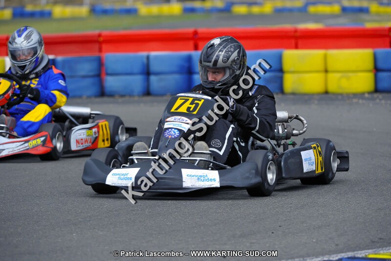 DSC_ (2468).jpg